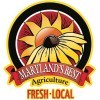 MD's Best